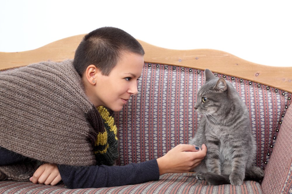 Your #cat could use a buddy when you are away. You can find a great #petsitter to stop in, visit and care for your #cats on PetScene.directory