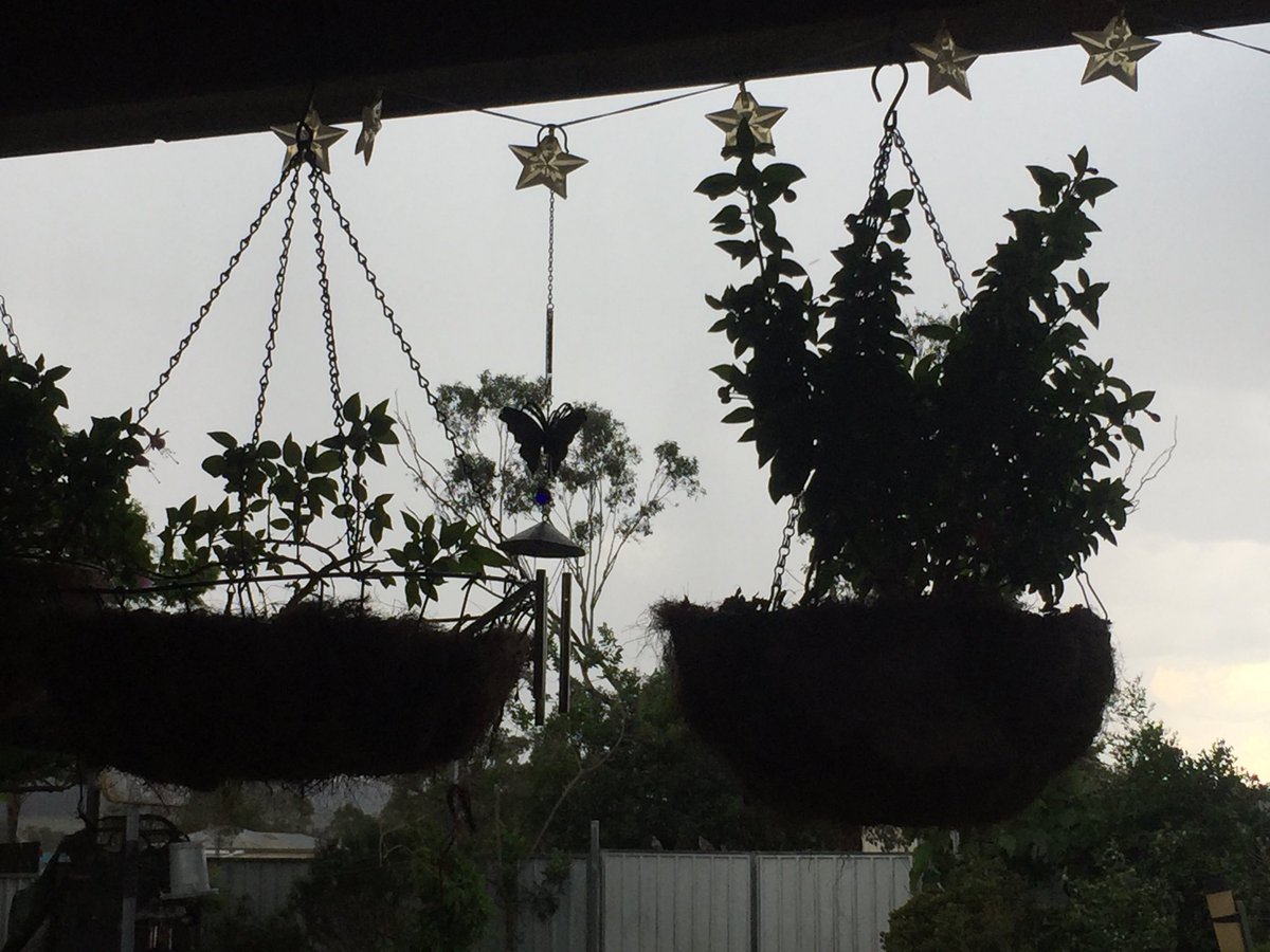 GreeneFiona's tweet photo. Storms coming! #Goombungee https://t.co/BuwPfrlUqi