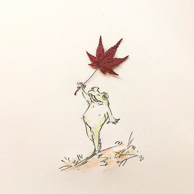 holding leaf no humans leaf solo holding frog autumn leaves  illustration images