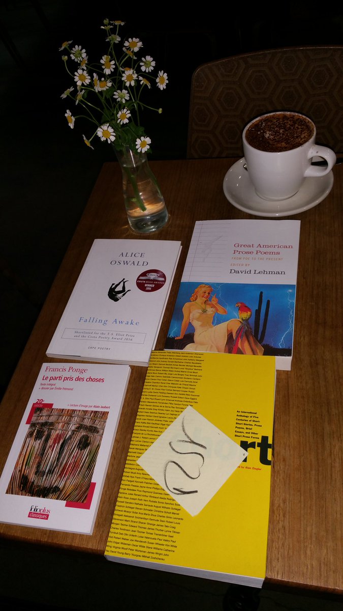 Faye Brinsmead tweet media