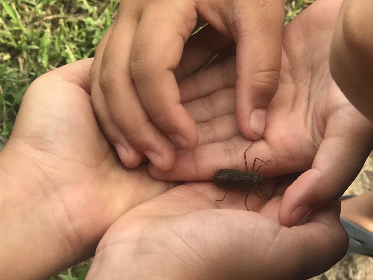 ‘Āina based learning at it’s best! #outdoorlearninglab #nohoanafarms #makinglearningcometilife