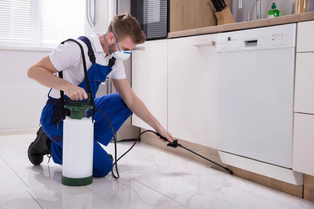 BugCommander's tweet photo. The Costs of Contracting Pest Control Services in Frisco TX https://t.co/eDFGcYk76q https://t.co/f7jEF8LCMo