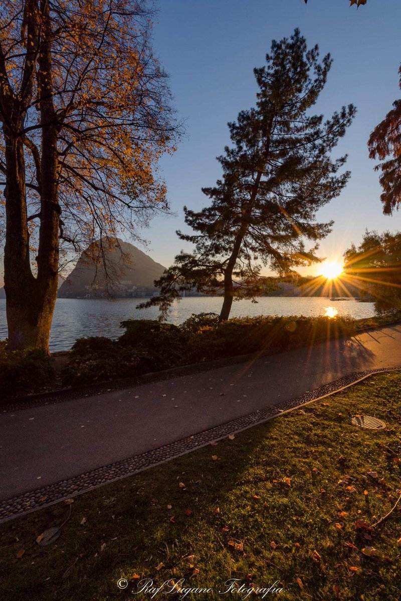 raflugano's tweet photo. #autunno #lugano #luganese #ticino #svizzeraitaliana #tramonto #panorama
©  all rights reserved
© 2018
#autunno #lugano #luganese #ticino #svizzeraitaliana
#all_shots #art #beautiful #capture #color #composition #exposure #focus #instagood #moment #photo #photography https://t.co/TlWTDTACqj