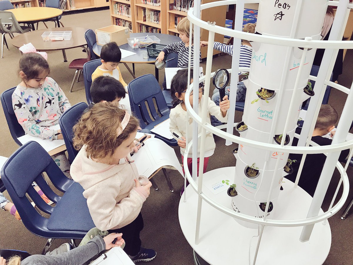 david_harel's tweet image. What a week: shared our stories of boats we made; observational drawings of the veggies growing in our tower garden;we wondered what animal dug up our school grounds and explored the area with joy; completed our first class painting  @bridgebulldogs #sd38learn #sd38french