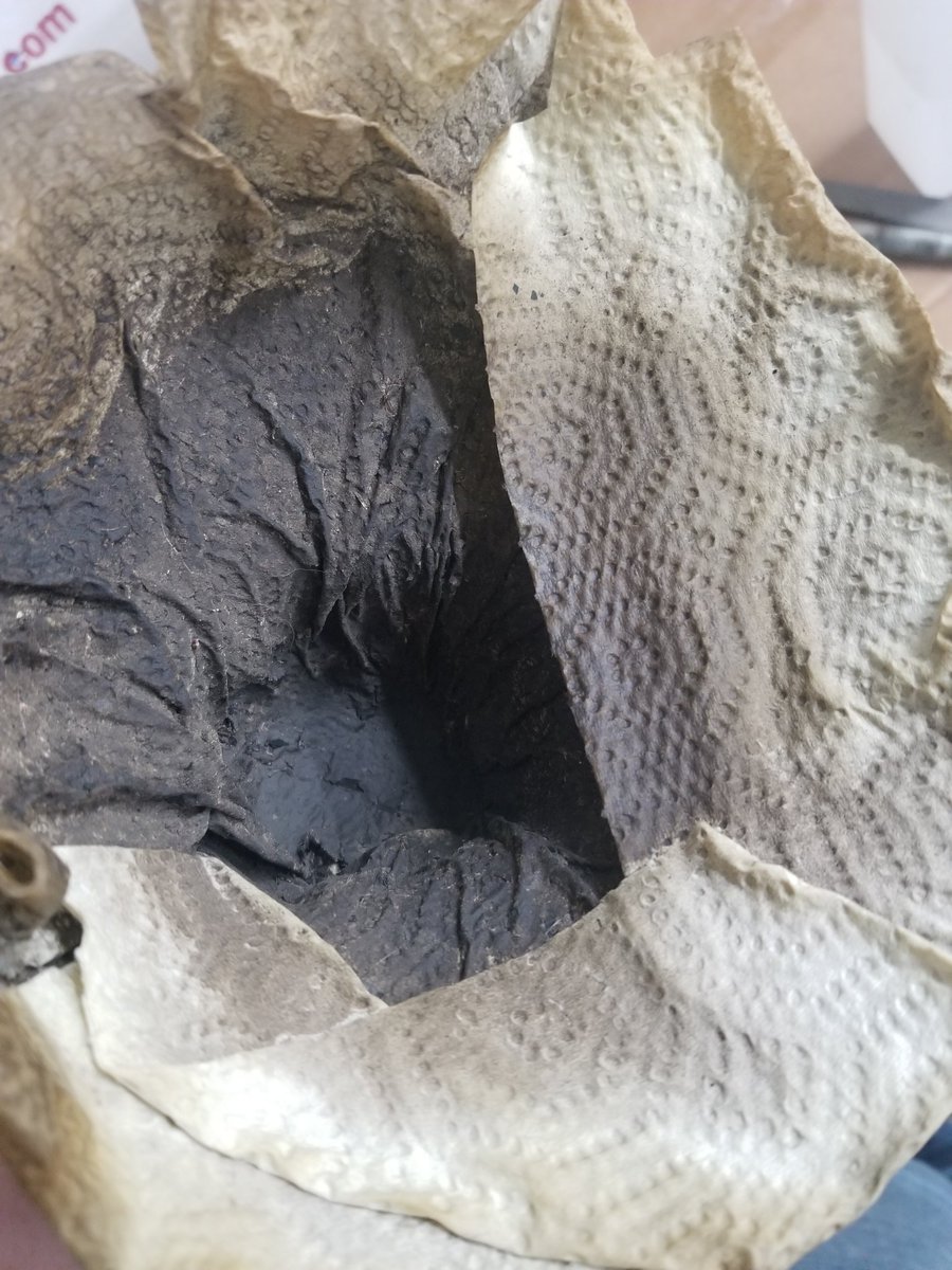 Timmy_Prime tweet media