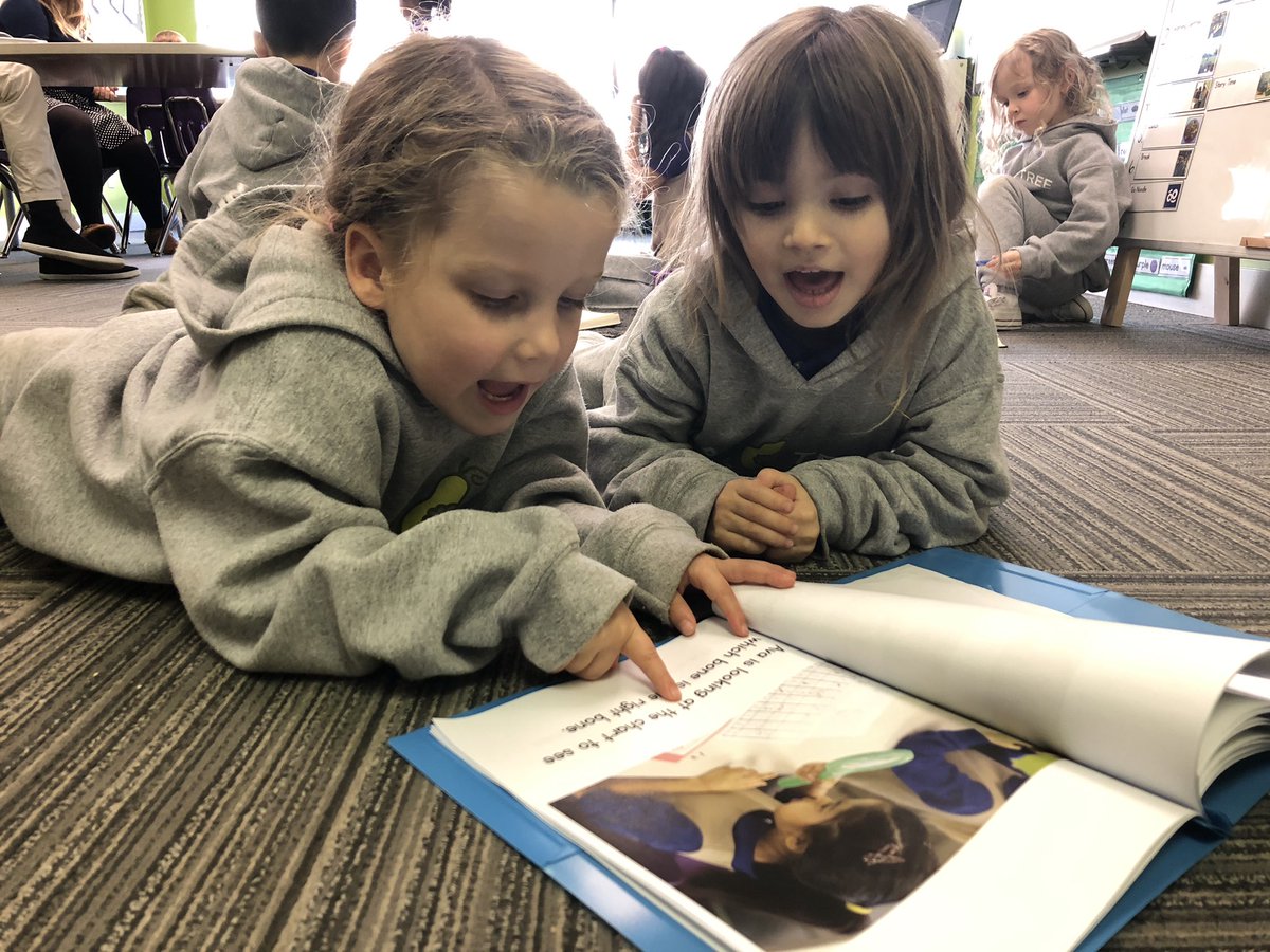 misslchan's tweet photo. Where does literacy happen in your class? We took our Friday morning to regroup about the terms, the procedures, the observations that happened yesterday in our owl pellet dissection. From this, we co-created a book! #promotingreading #cocreating #connectedliteracy https://t.co/UGHMhnaIhd