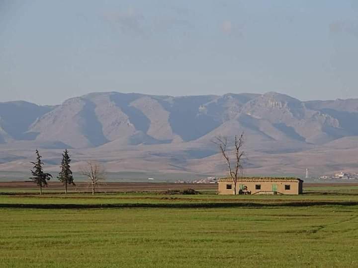 صباح الخير (روج باش) 🌹❤
#قامشلي #حسكة #رميلان #قامشلو #روج_افا