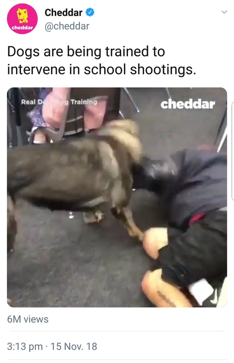 wheelswordsmith's tweet photo. child war medics and suicide dogs very cool if only there was another way but unfortunately there isnt https://t.co/93Mv2FgB9Y