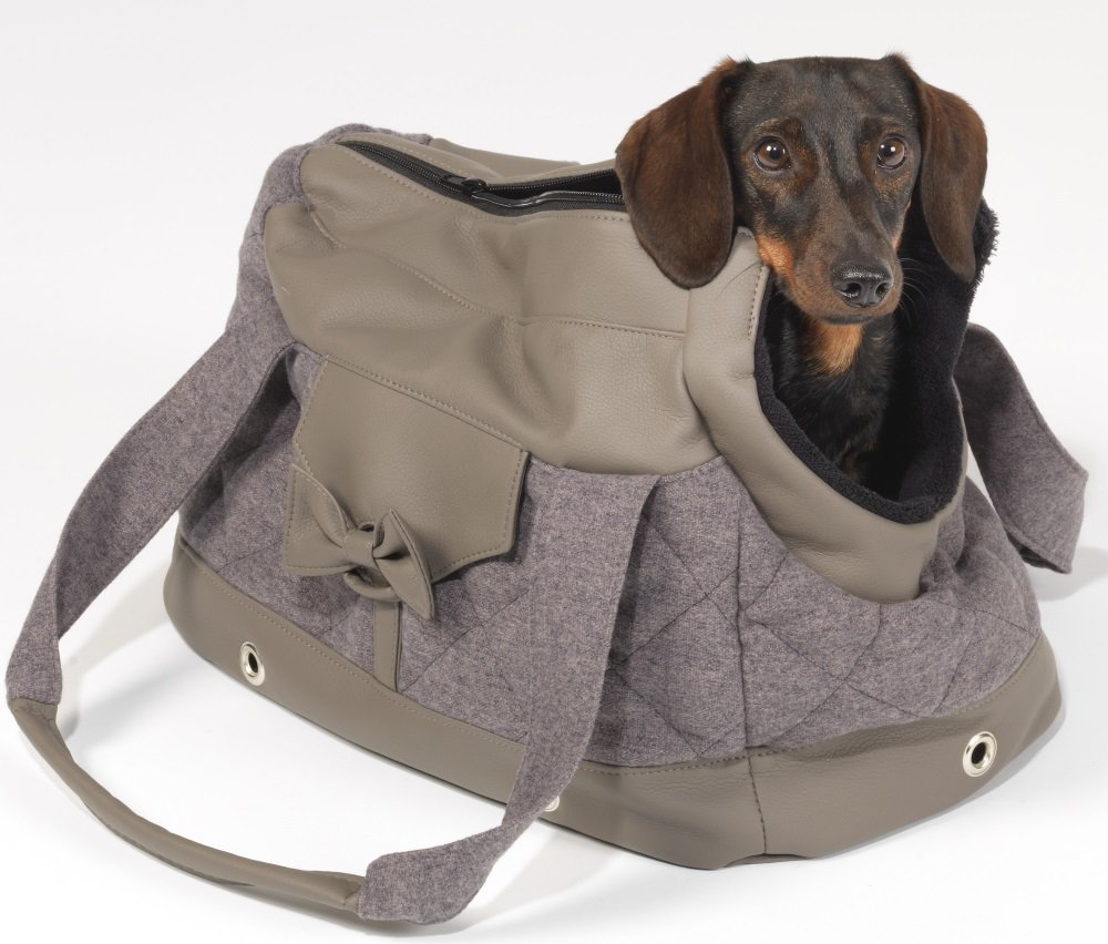 hundetasche hashtag on Twitter