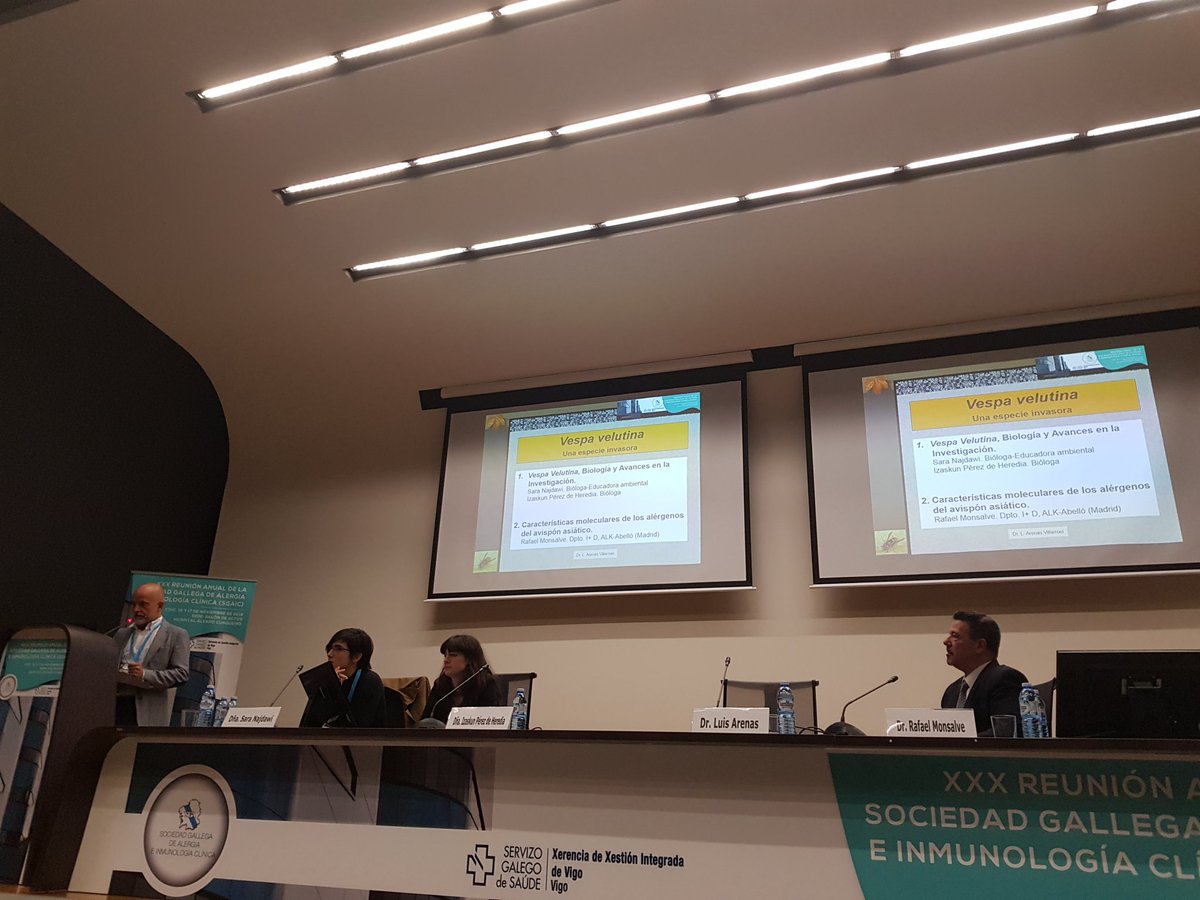 AngelaMeiCal's tweet photo. Y tras "mi" moderación aparece el Dr Arenas para dar lugar a la temida Avispa Velutina #SGAIC2018 https://t.co/GB3vqjMJrW