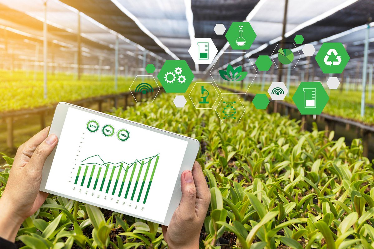peoplexplanet's tweet photo. “Pensiamo a farvi crescere. Ovunque.” E così #GHzero la #StartUp di #Torino vuole coltivare frutta e verdura (anche) nel #deserto. Futuro o utopia? #cibo #tecnologia https://t.co/SrqoefwzIc https://t.co/6Ki4rELdfk