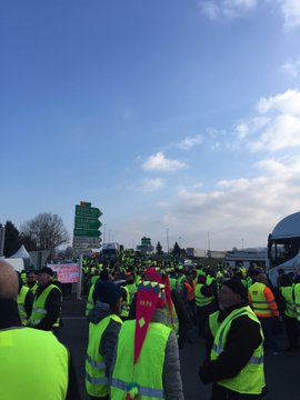 View image on Twitter