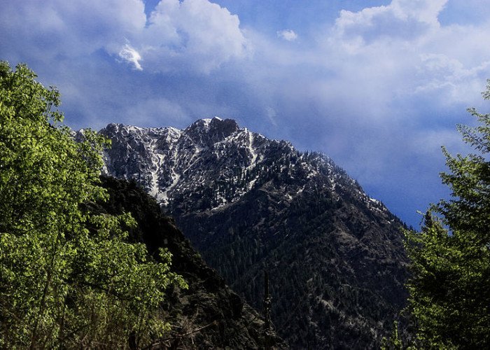 pakistan_click's tweet photo. Rumbur Valley Chitral, KPK, Pakistan
#Chitral #Rumber_Valley #KPK #Pakistan #Tourism #Beauty_of_Pakistan #Meadows #Waterfalls #Snowfall #Clickpakistan #Tourpakistan #Explorepakistan https://t.co/Ly6A8TaNh7