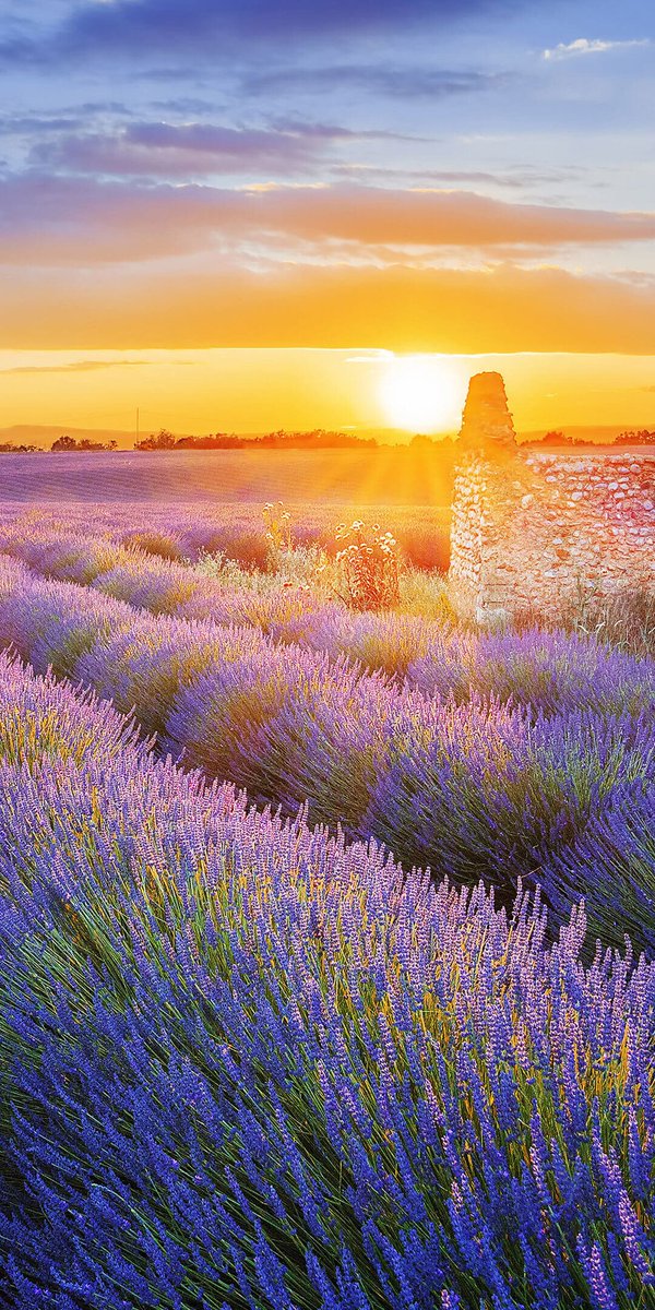 Angela Watson tweet media