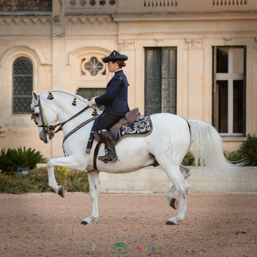 RealEscuela's tweet photo. '‘Fantasía a Caballo’ a las 13:00 horas tendréis de nuevo la oportunidad de disfrutar del binomio formado por nuestra jinete Belén Bautista y el caballo Tabique, durante la representación del espectáculo oficial de SICAB 2018.
#realescuelaandaluzadelarteecuestre #sicab2018 https://t.co/GlfU4ntyZK
