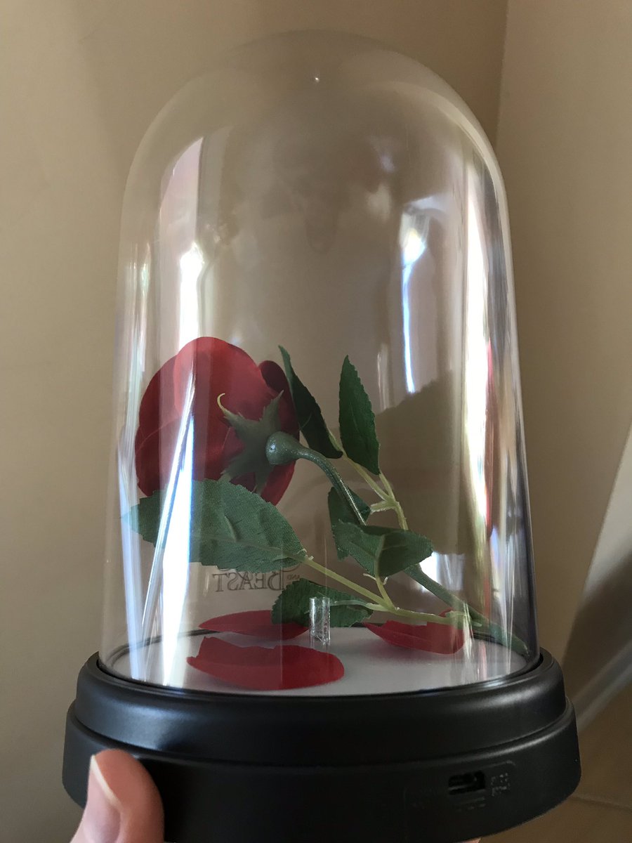 Natasha Tabor tweet media