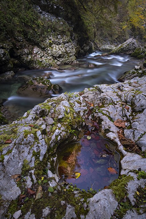 Autumn leaves in a rock pool at Vintgar Gorge near Bled, Slovenia.
#vintgargorge #bled #slovenia #ifeelslovenia #iloveslovenia #venturaphototours #fujiholics @MeetupWASP #igersbirminghamontour #wexphoto #theeuropeancollective #repostmyfujifilm #igbc_explore #brummie_gems