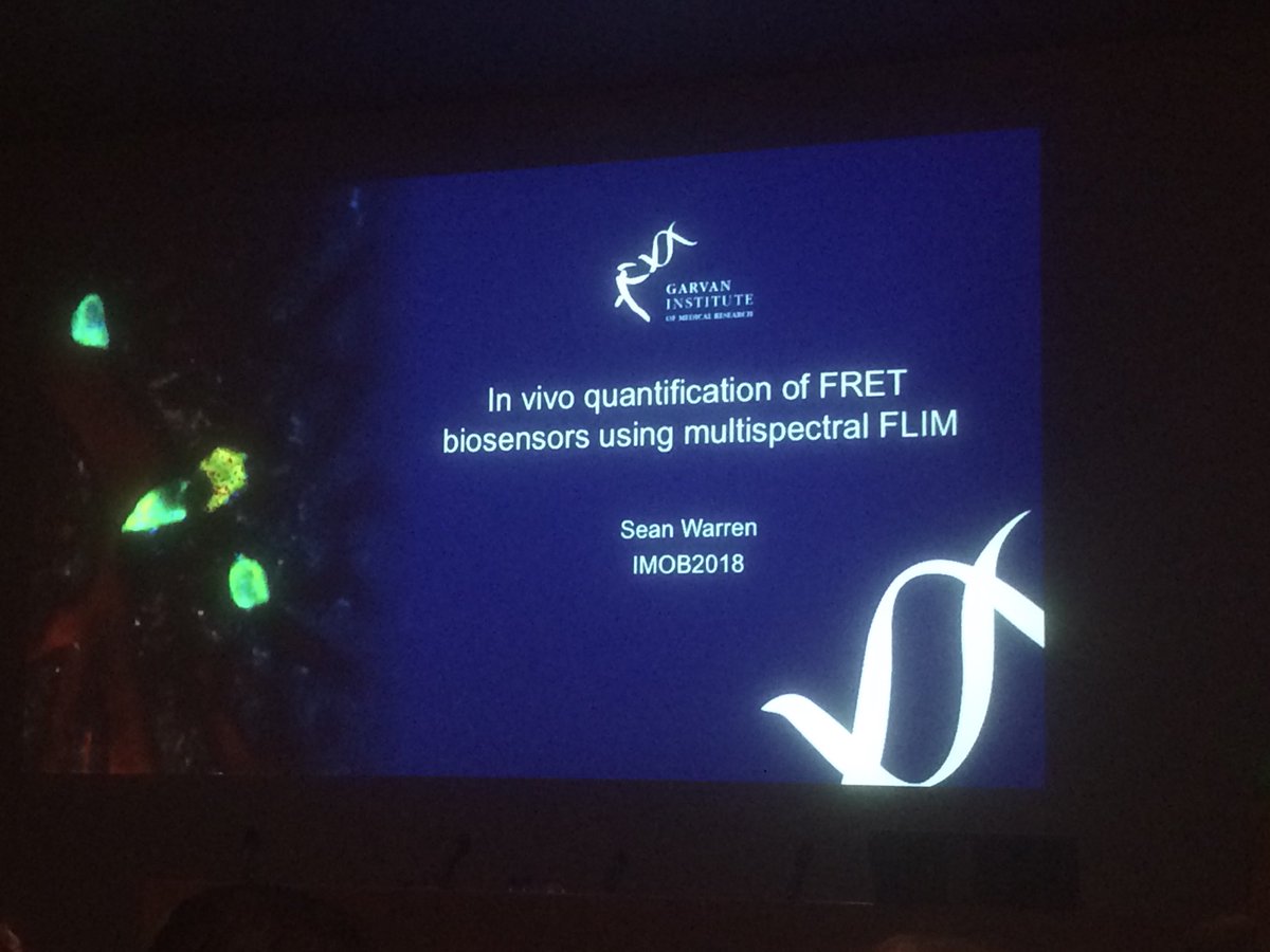 joachimgoedhart's tweet photo. #IMOB18 final talk by Sean Warren on in vivo FRET-FLIM of Rho GTPase activity https://t.co/uVRJHj9kDw