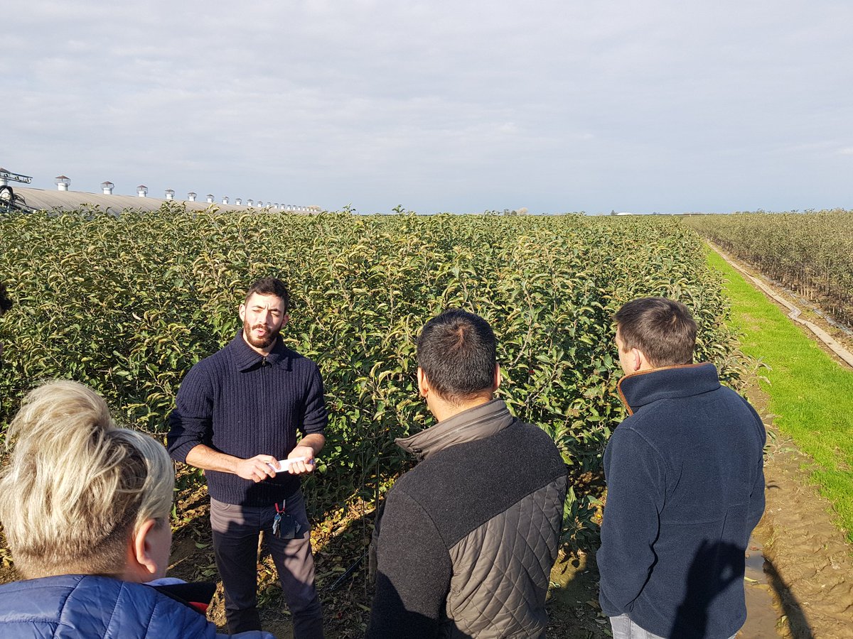 UKCALtd's tweet photo. @FASTLLP took us on a tour of there Verona based Nursery contact Greba. Their impressive 35,000  trees squeezed into each Hectare and over 2,000,000 trees on site. This was a special trip for the @EnglishAppleMan and one we won't forget. #apples https://t.co/qKpqULMqA1