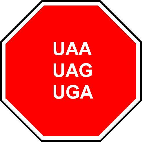 100cia_'s tweet photo. Cuando el profe dicta muy rápido y no te da tiempo a escribir https://t.co/ThgXaozZ3z