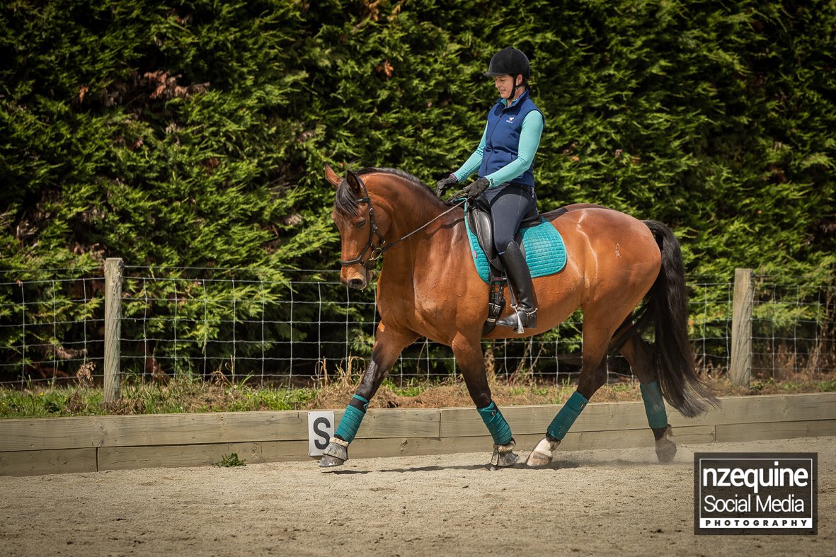 ree_moss's tweet photo. #matchymatchy #247Dressage #lemieux #lovemypony
Great lessons over the last few weeks! https://t.co/06Z1WcyWky