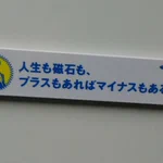 これは名言wじゃなかったよ!磁石にプラスもマイナスもなかったか・・・