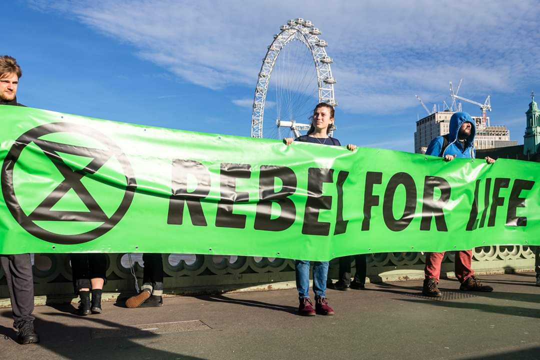 radicalhoneybee's tweet photo. As Love meets the Beast of Greed, which cares nothing for the turning seasons, the first breath of the newborn, our sacred contract with Life, be with us Holy One. They hope to wear us down, they will fail as they always have. Rebel for Life.

#Dan7 #cLectio #ExtinctionRebellion https://t.co/o8aVngMiN4