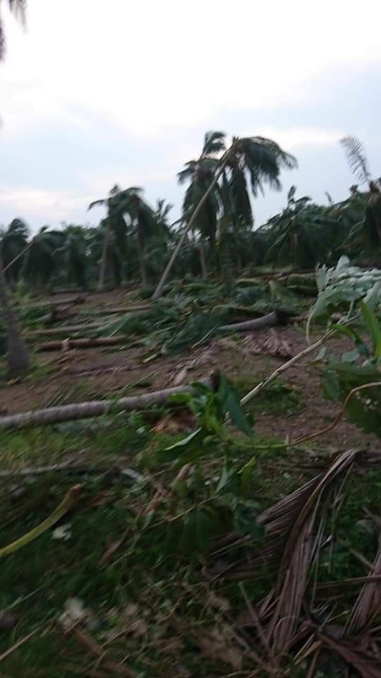 sivachandran15's tweet photo. ஏன்டா இந்த பாகுபாடு???? @ThanthiTV @PTTVOnlineNews @news7tamil @sunnewstamil @dinamalarweb @dinathanthi @TamilTheHindu @itisprashanth
@tnsdma #GajaCyclone #GajaCycloneUpdates #Savedelta #helpdelta #GajaCycloneAlert https://t.co/AuWddO3R5b