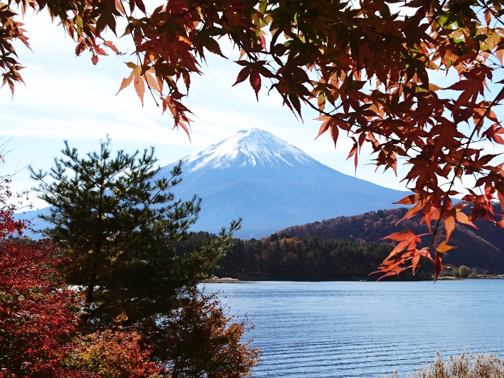 富士山と紅葉