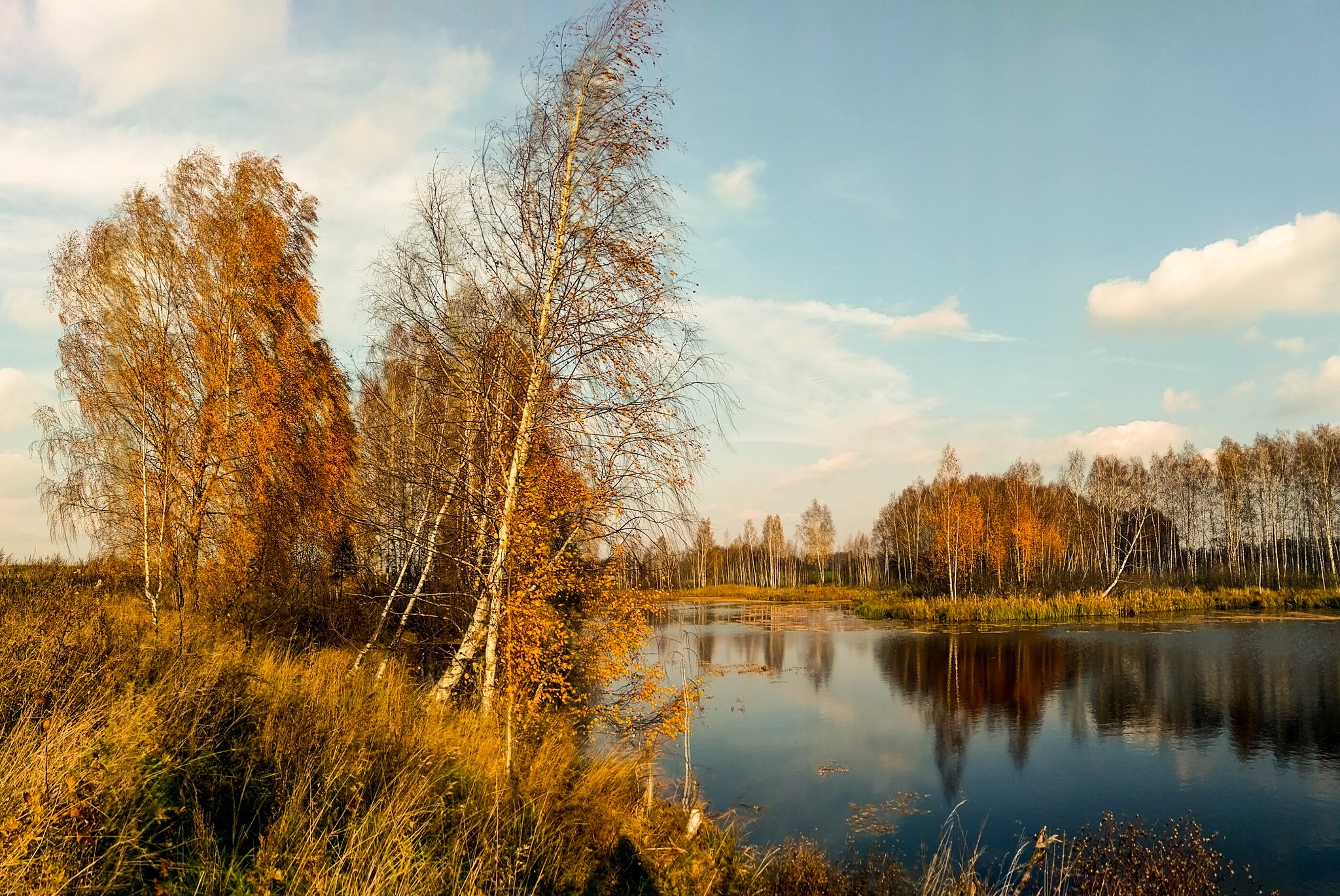 Осень в Ивановской области