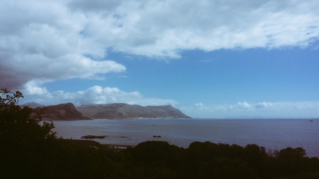 LucyCorne's tweet photo. Penguins, mimosas, ocean views and piles of breakfast. Spectacular way to start a weekend. #bloggersbreakfast @Tintswalolodges Boulders. How's your Saturday!!? #TintswaloatBoulders https://t.co/kThfE9kC7x