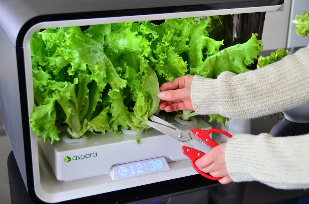 RainShadowVA's tweet photo. This looks super exciting! Indoor GARDENING! https://t.co/Tzzk2iD8kq https://t.co/3XHUYcCCCk