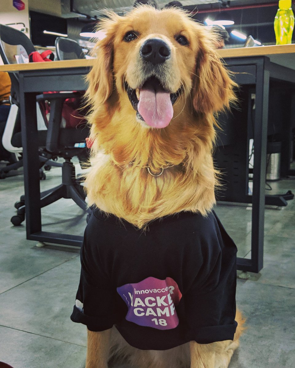 ankitTwiits's tweet photo. ready to smell bad code #hackercamp18 #innovaccer https://t.co/706FNEzuLd