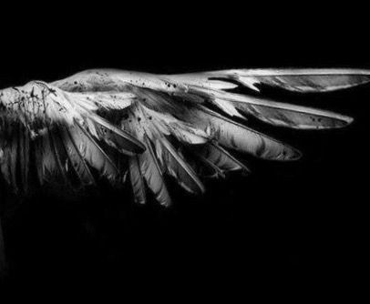 lucisdecker's tweet photo. 11. Lucifer {2016-} https://t.co/rZdLdzAy81