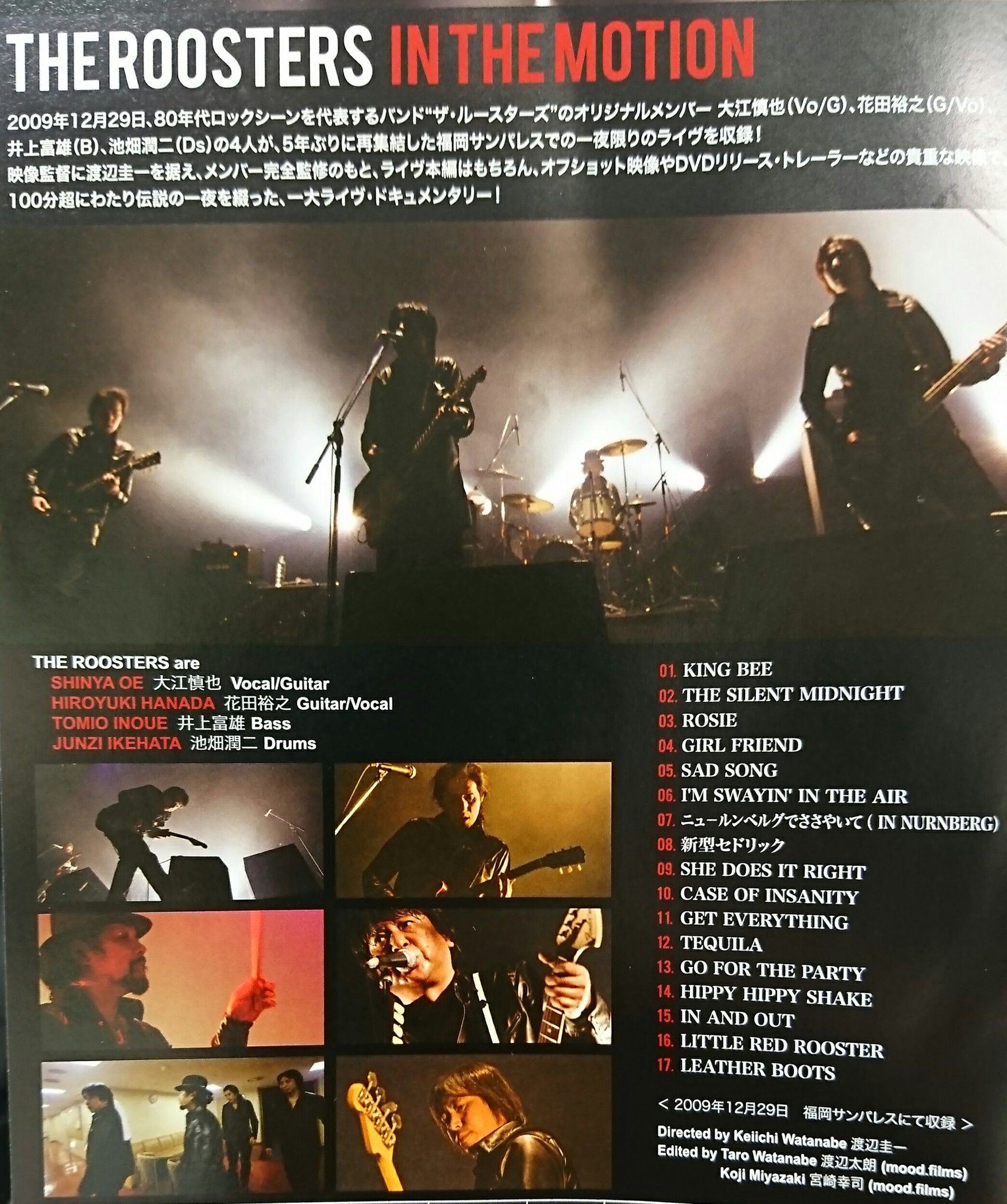 ルースターズ Twitter