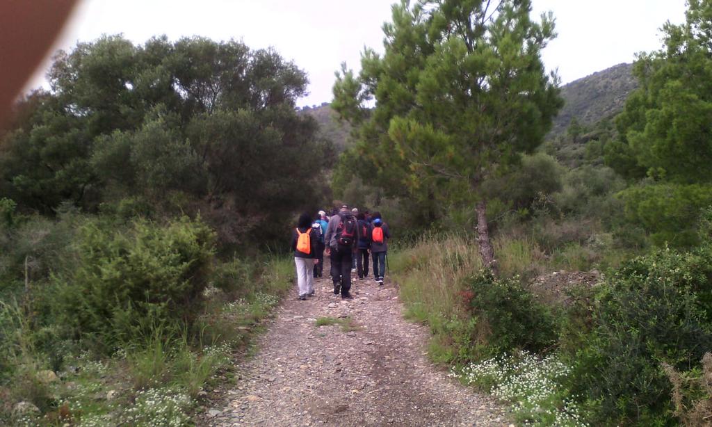 @Terramar tweet media