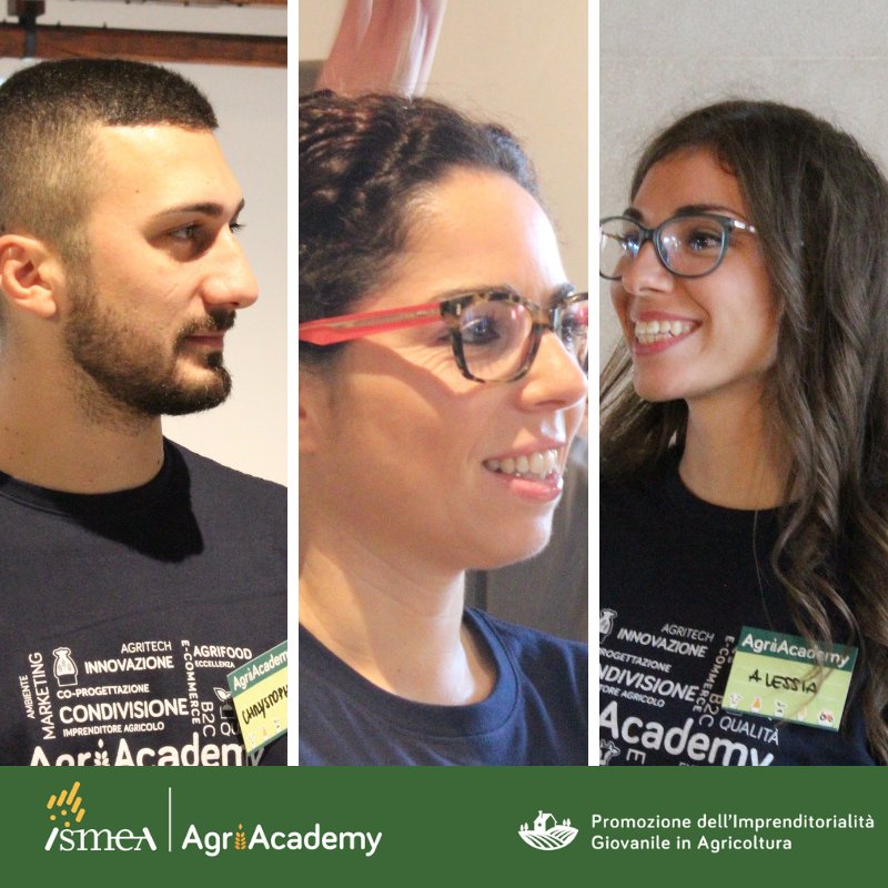Mipaafgiovani's tweet photo. START! secondo giorno di #agriacademy Ismea 🍇🥕🌻🌾a Bari, è il momento in cui si decidono i ruoli nei gruppi di lavoro per l'' #hackathon dei #giovani #agricoltori #servicedesign #innovazione #marketing #export https://t.co/vDlOni0cJj