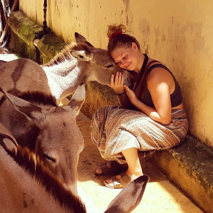 visit_lamu's tweet photo. Only in Lamu 💙 https://t.co/f3OGS4JJlA