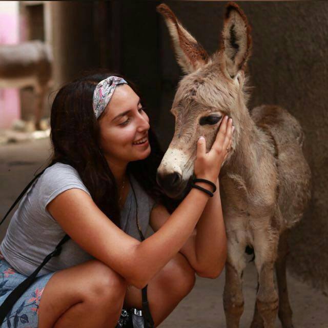 visit_lamu's tweet photo. Only in Lamu 💙 https://t.co/f3OGS4JJlA