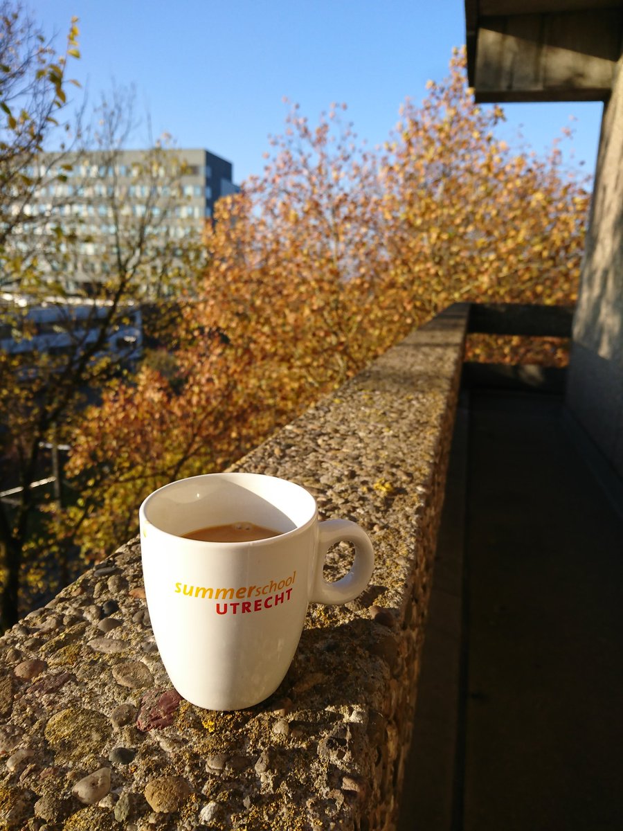 _putri_p's tweet photo. My kind of Saturday morning in between sampling time points #leafseries #24hours #research #GArules #leafgrowth https://t.co/D90P93kugH