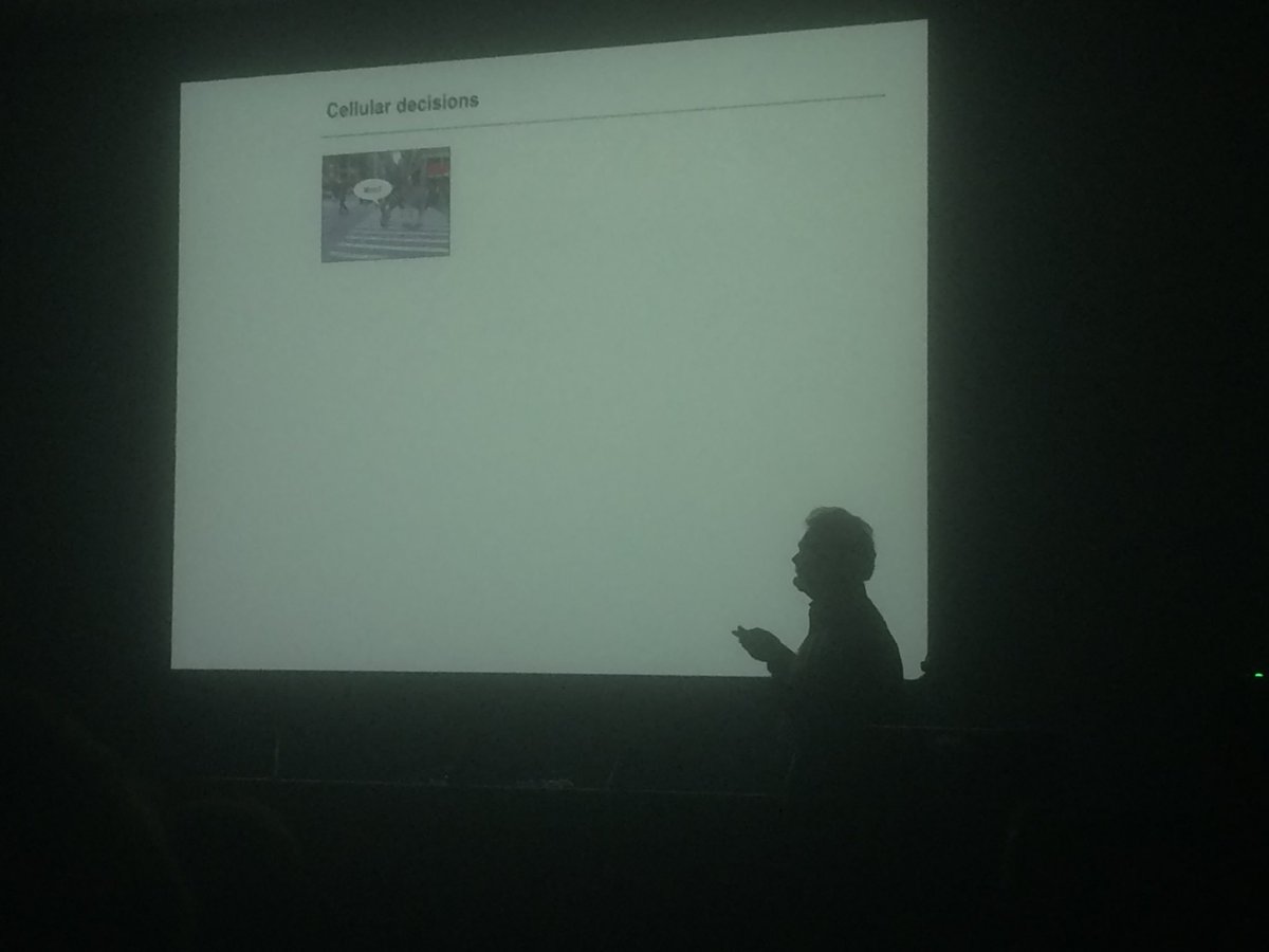 joachimgoedhart's tweet photo. #IMOB18 @alesposito75 plays a nice game with the audience: “who crosses the road?” to illustrate heterogeneity in (cellular) decisions https://t.co/DHK5z9hOs4
