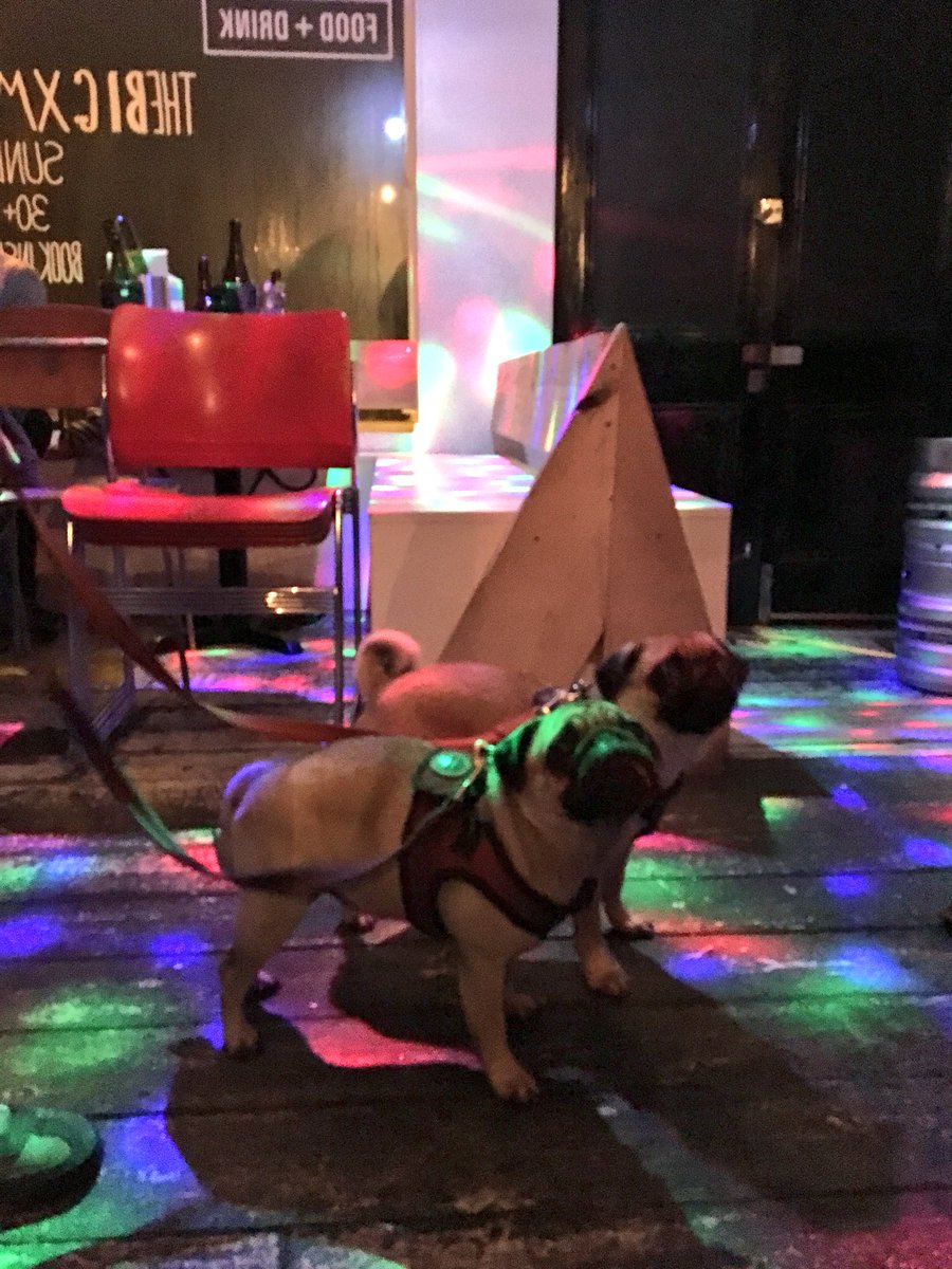 Phoebe LeMessurier tweet media