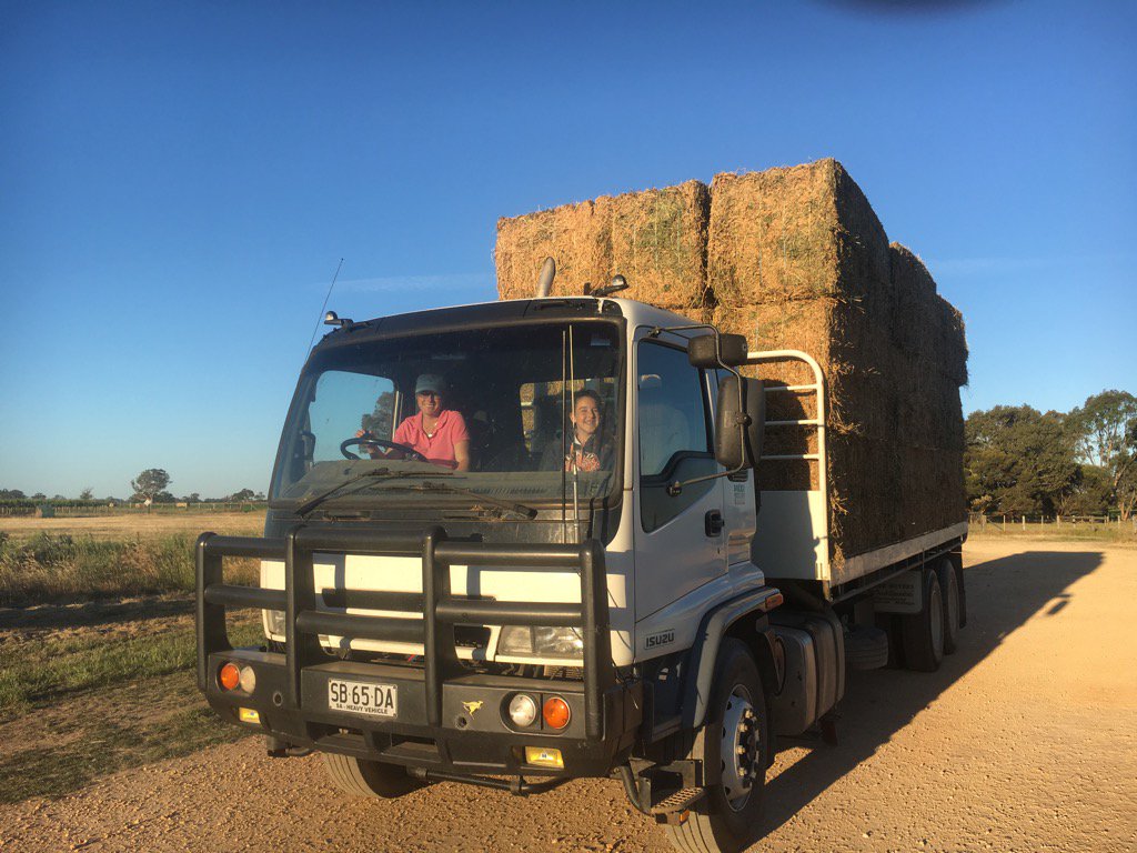 MaloneLamb's tweet photo. The hay team, keeping it in the family👌 https://t.co/6TmHmNwZIM