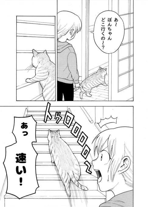 猫とお姉ちゃんの漫画 その7
かいだん 