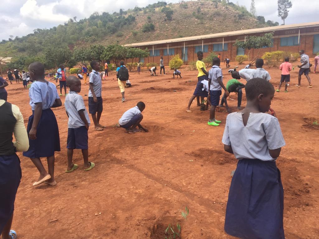 AkageraPark's tweet photo. So far 3,500 #trees, propagated in our #community nursery, have been planted at three schools on the border of #Akagera National Park at GS Gishanda, PS Kibimba and GS Ndego II. We aim to plant 20,000 seedlings before the end of the season #Rwanda https://t.co/O25nh77wRB