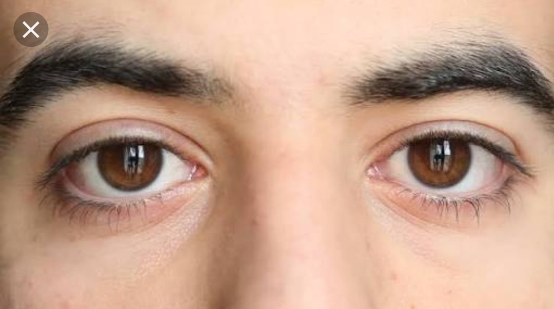 Rumi2703's tweet photo. She complimened
"You have deep eyes."
He said
"Its not because
they are deep
you love them
it is because
you love them,
hence, they are deep"
#Micropoetry
#chandwrites https://t.co/bwiMW1fz5c