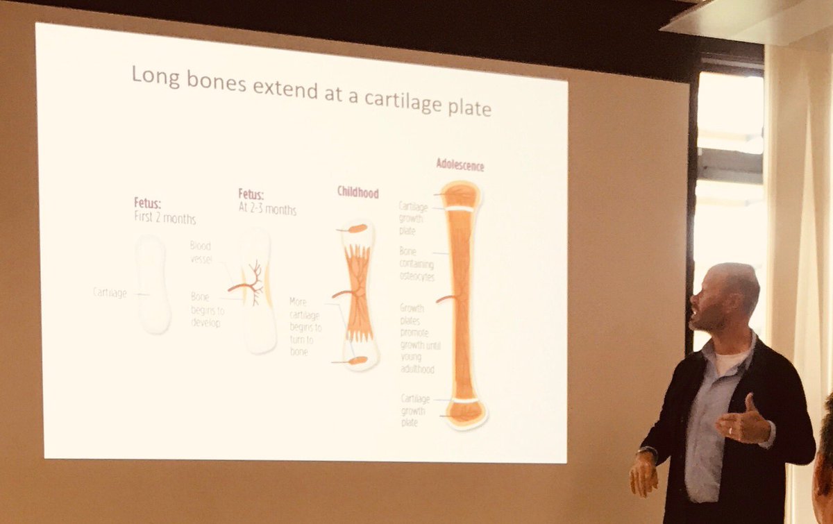 AJTF71's tweet photo. Fascinating keynote by Professor Harry Mellor on the biology of growth @theASE #asewest https://t.co/P8CiWPxpnc