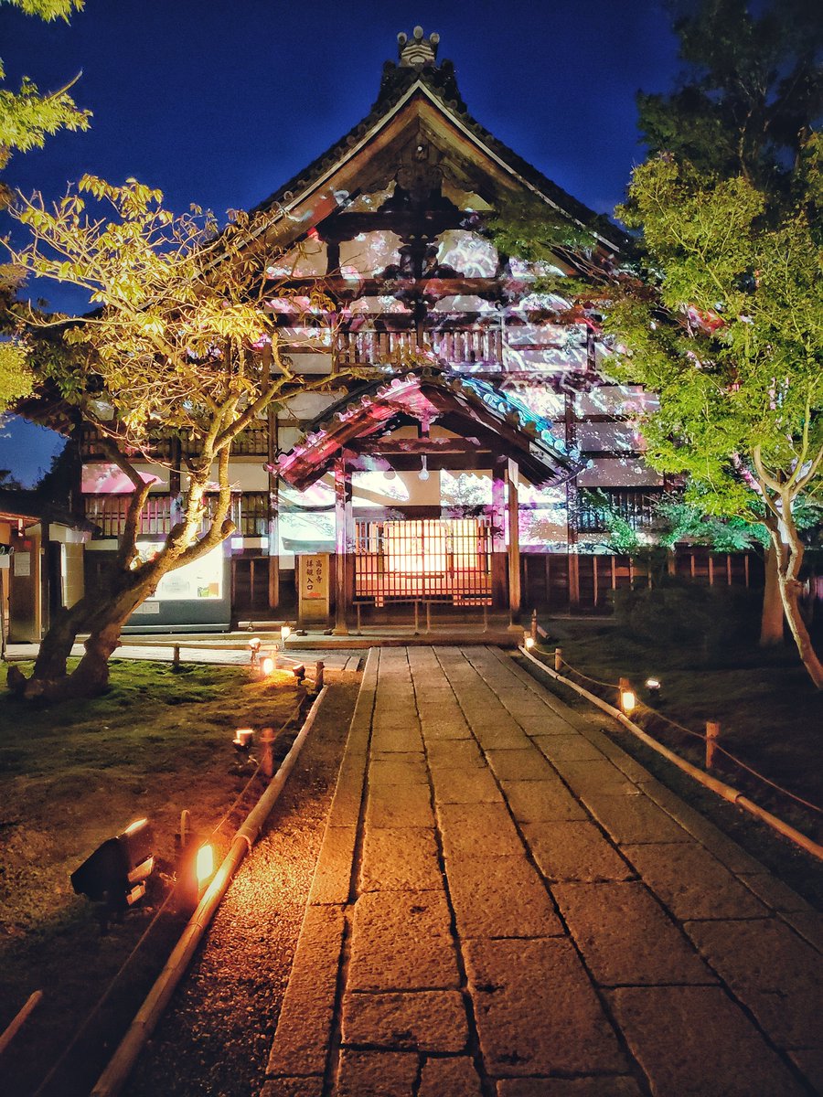 andr3van's tweet photo. Comes again the season where everyone can enjoy the lights here in Kyoto.
#kyoto 
#discoverkyoto 
#discoverjapan 
#japantravel 
#kyototravel https://t.co/RNNTIIjTZh