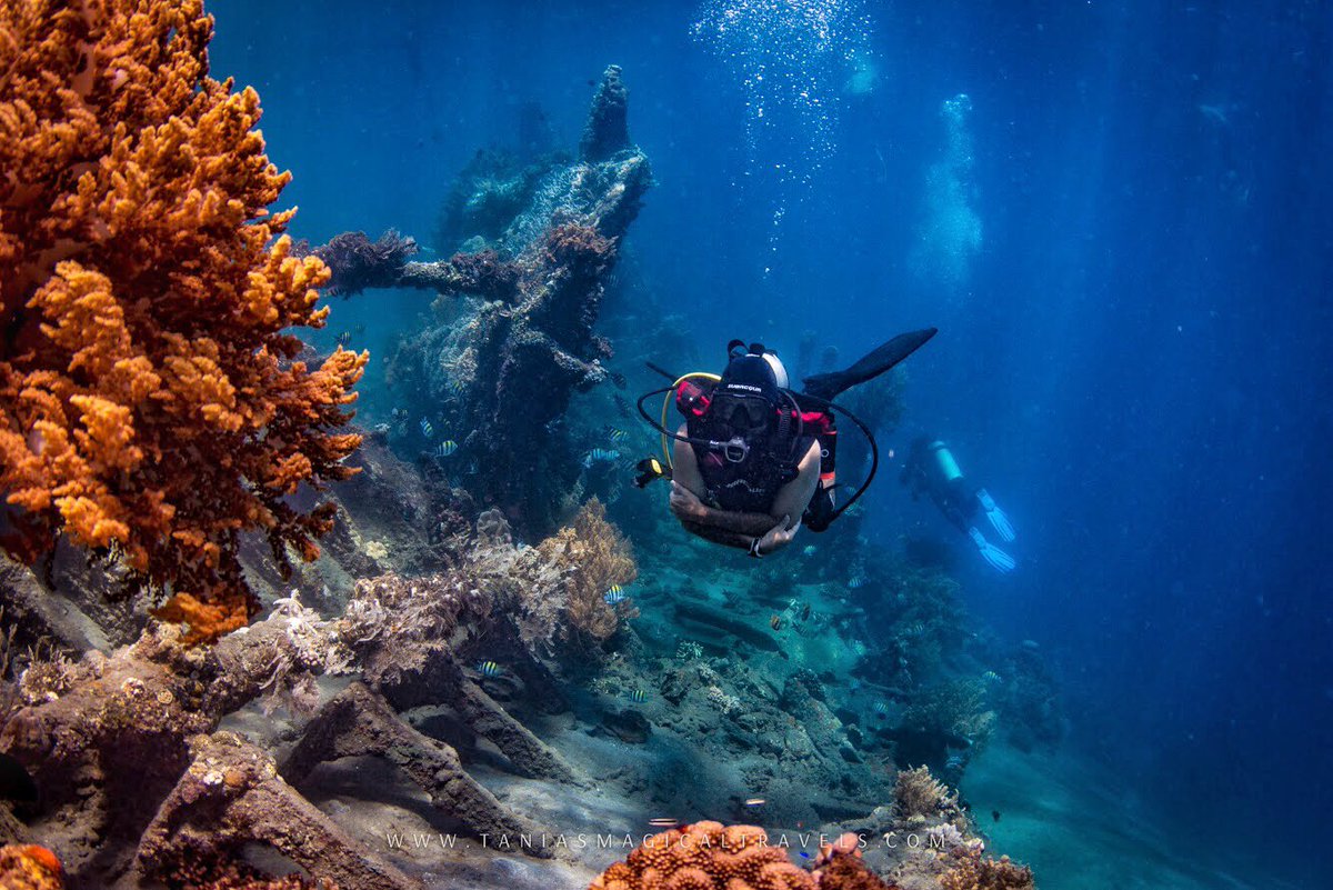 tMagicTravels's tweet photo. If I could ... I would move underwater!! Back to diving and underwater photo in Amed, my favourite place in Bali! https://t.co/TBeV0BYSlL