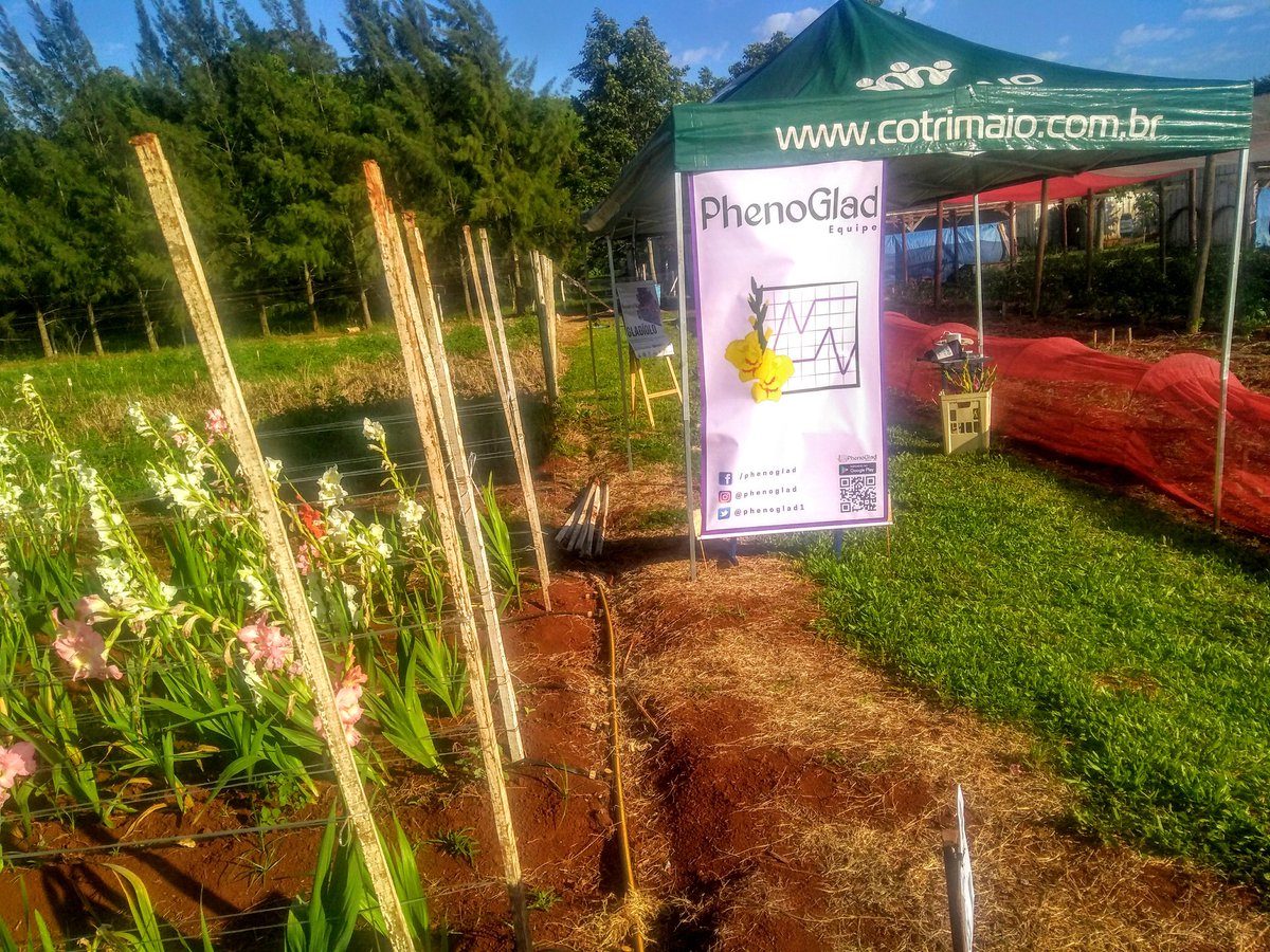 phenoglad1's tweet photo. 🍉🍓🌻 Primeiras imagens do Dia de Campo sobre HORTICULTURA, promovido pela SETREM, em Três de Maio, RS. O evento vai começar daqui a pouco. 🍉🍓🌻
#horticultura #setrem #emater #ufsm https://t.co/twJtbpdIsc